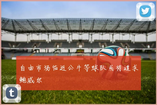 自由市场临近公牛等球队或将追求鲍威尔